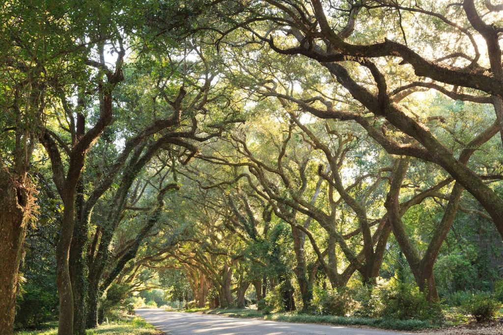 Alabama town named as one of most beautiful in America: ‘The epitome of Southern charm’