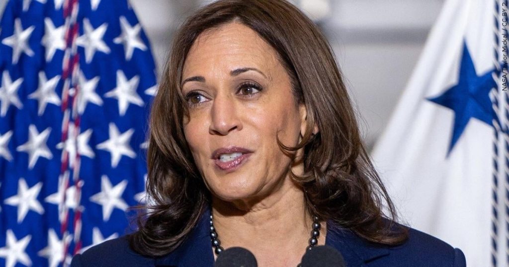 Mississippi, Alabama DNC delegates back Kamala Harris for president