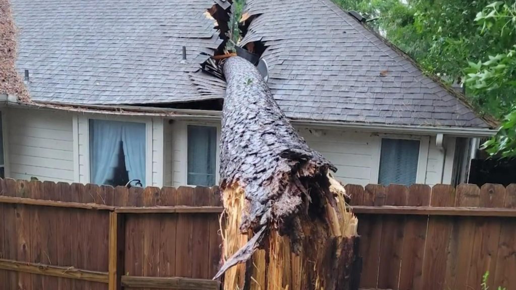 Woman tries to track down owner of neighbor's lot after tree smashes into her home during Beryl