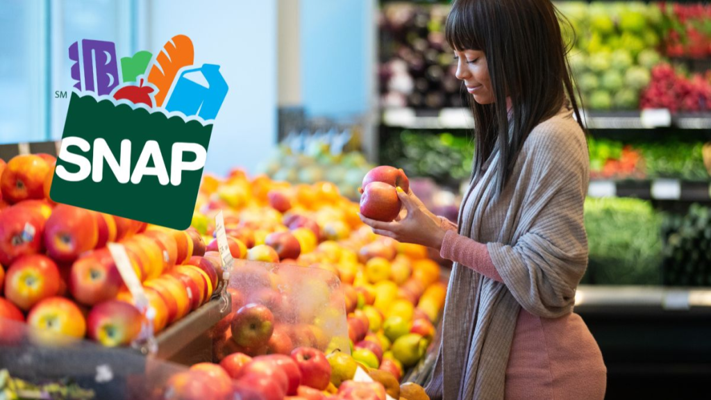 Complete SNAP Food Stamps Payment Schedule for November Up to $292 on Your EBT Card