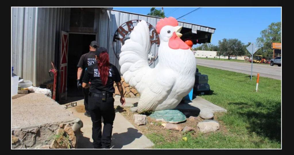 Over 800 animals confiscated from Santa Fe feed store