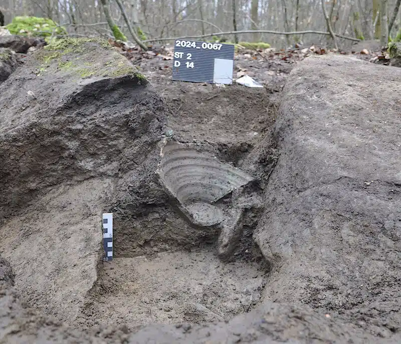 The ceramic pot in which the coins and silver fragments were discovered. 