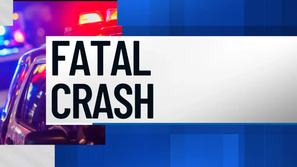 Man killed in early Saturday crash in South County